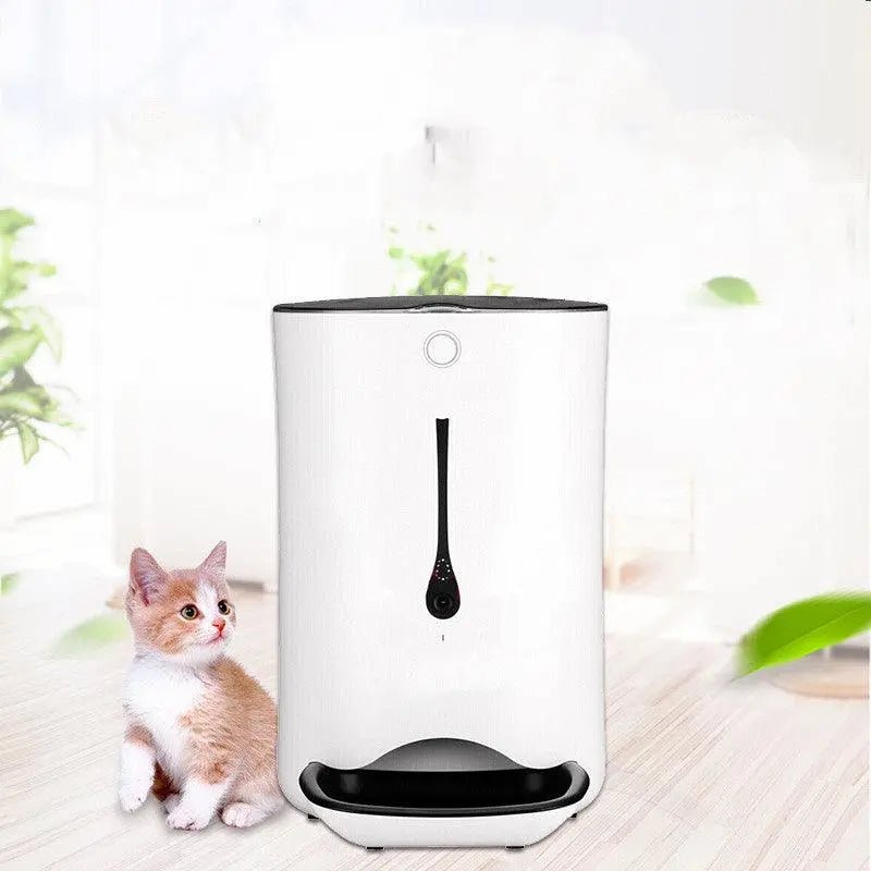 timed pet video automatic feeder