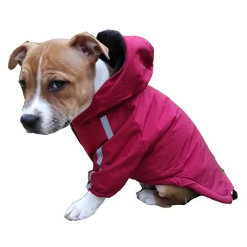 Reflective Pet Hooded Jacket - WoofMeowProps.com