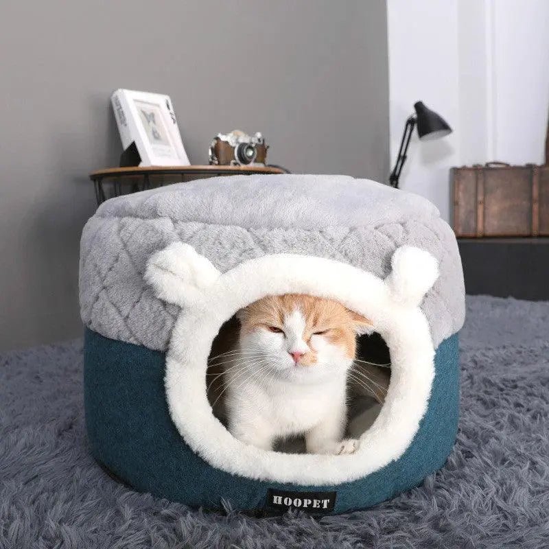 warm-cat-home