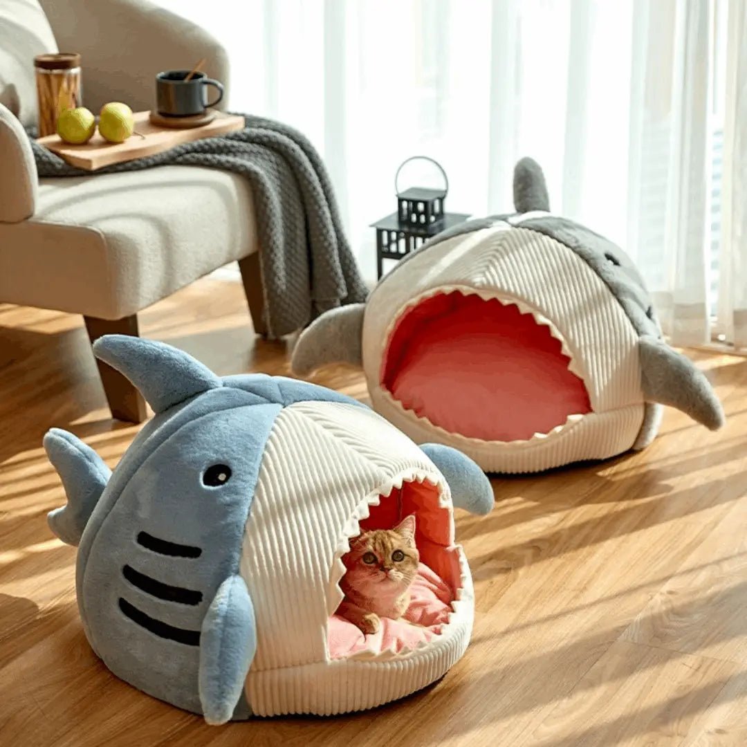 The Shark Pet Bed - WoofMeowProps.com