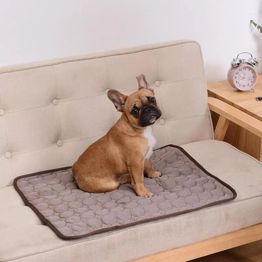 Pet Breathable Sofa Blanket - WoofMeowProps.com