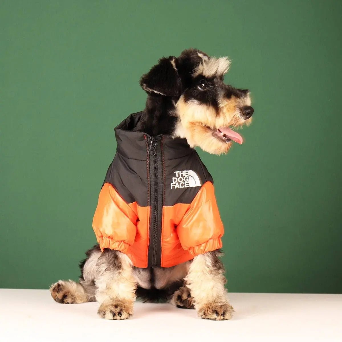 Warm Dog Jackets - WoofMeowProps.com