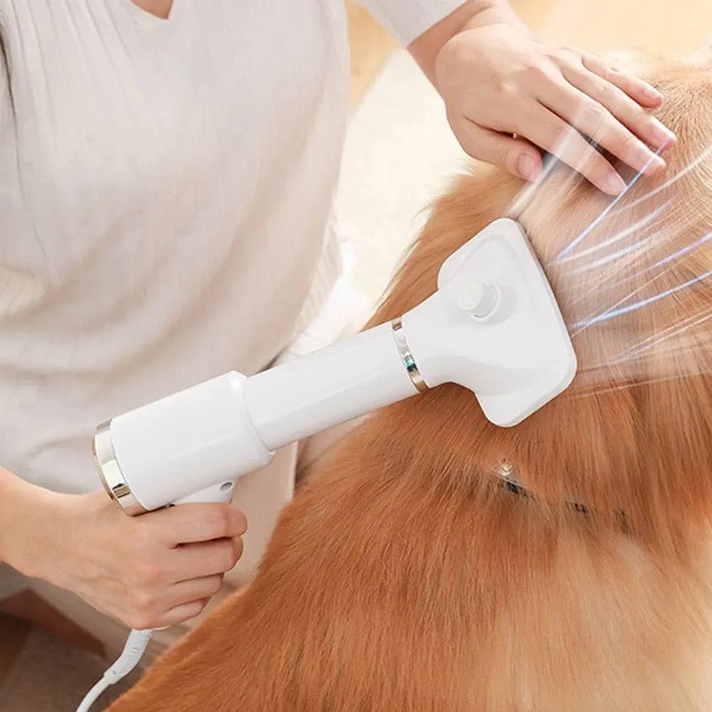 2-in-1 Dog Hair Dryer Portable - WoofMeowProps.com